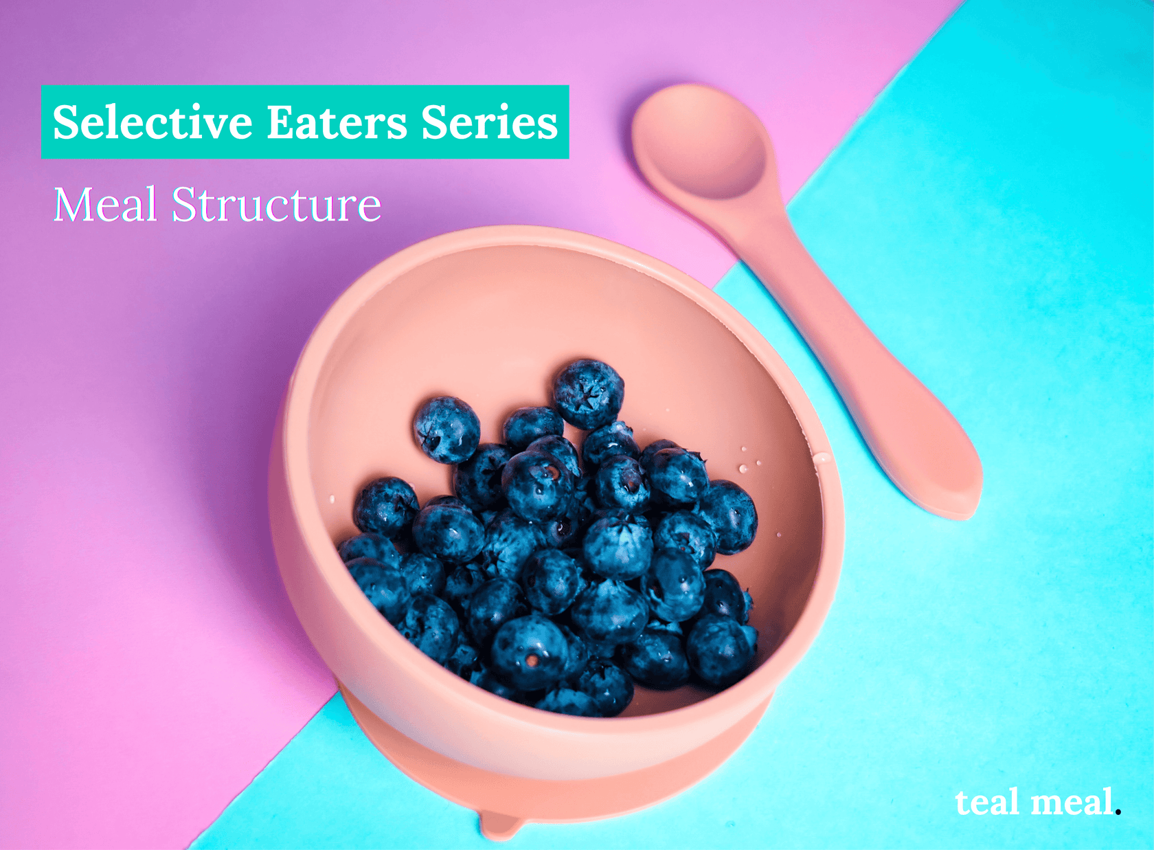 selective-eaters-series-meal-structure-baby-food-nutrition-teal-meal