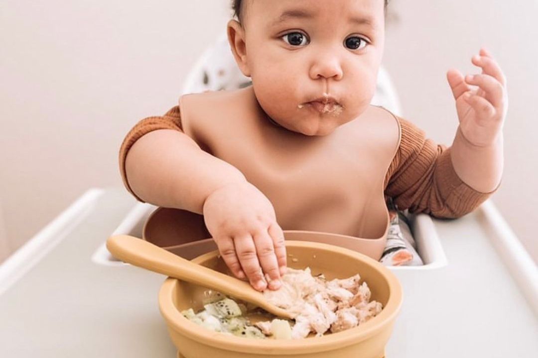 The Complete Guide to Baby Led Weaning with Safe Materials: Everything You Need to Know