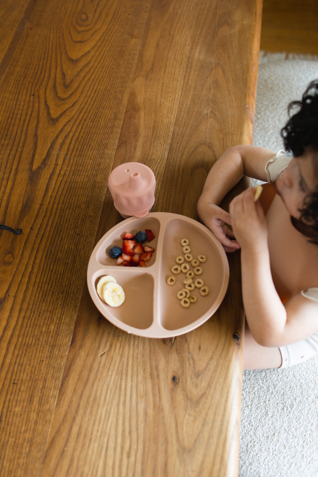 Silicone Divider Plate | Moon Sand