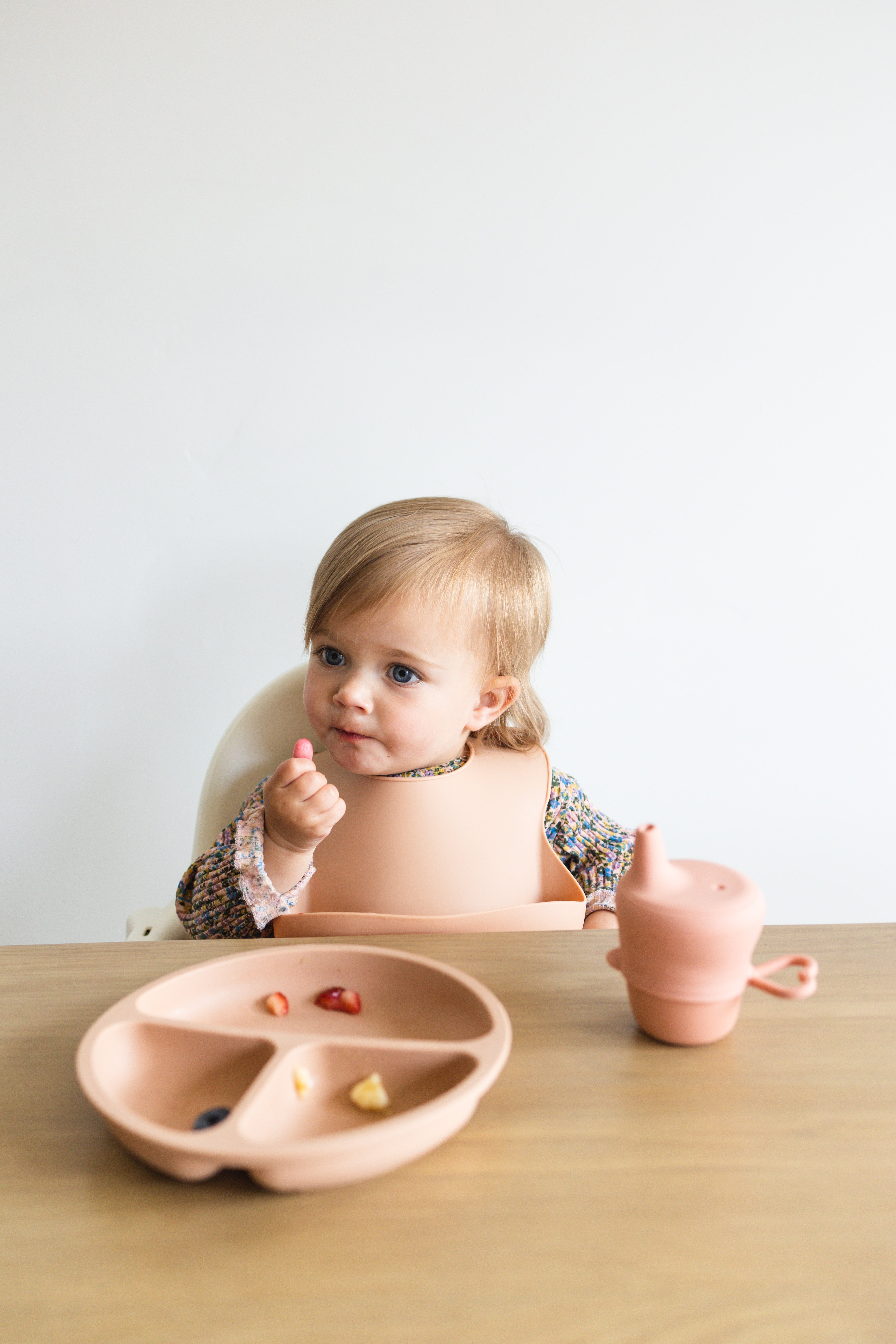 Silicone Divider Plate | Chocolate