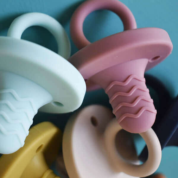 teething pacifier (flamingo) - teal meal