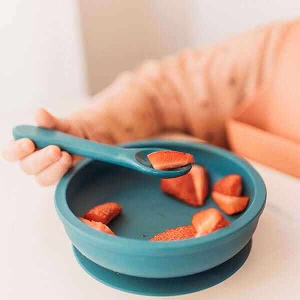 Silicone Sun Plate Set (Basil) - Teal Meal