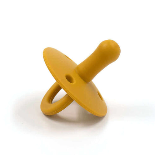 Bibby Pacifier (Sunshine) - teal meal